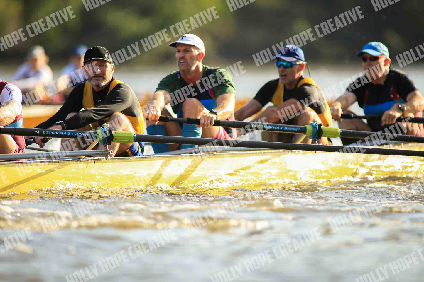 Brown Snake Image - 183