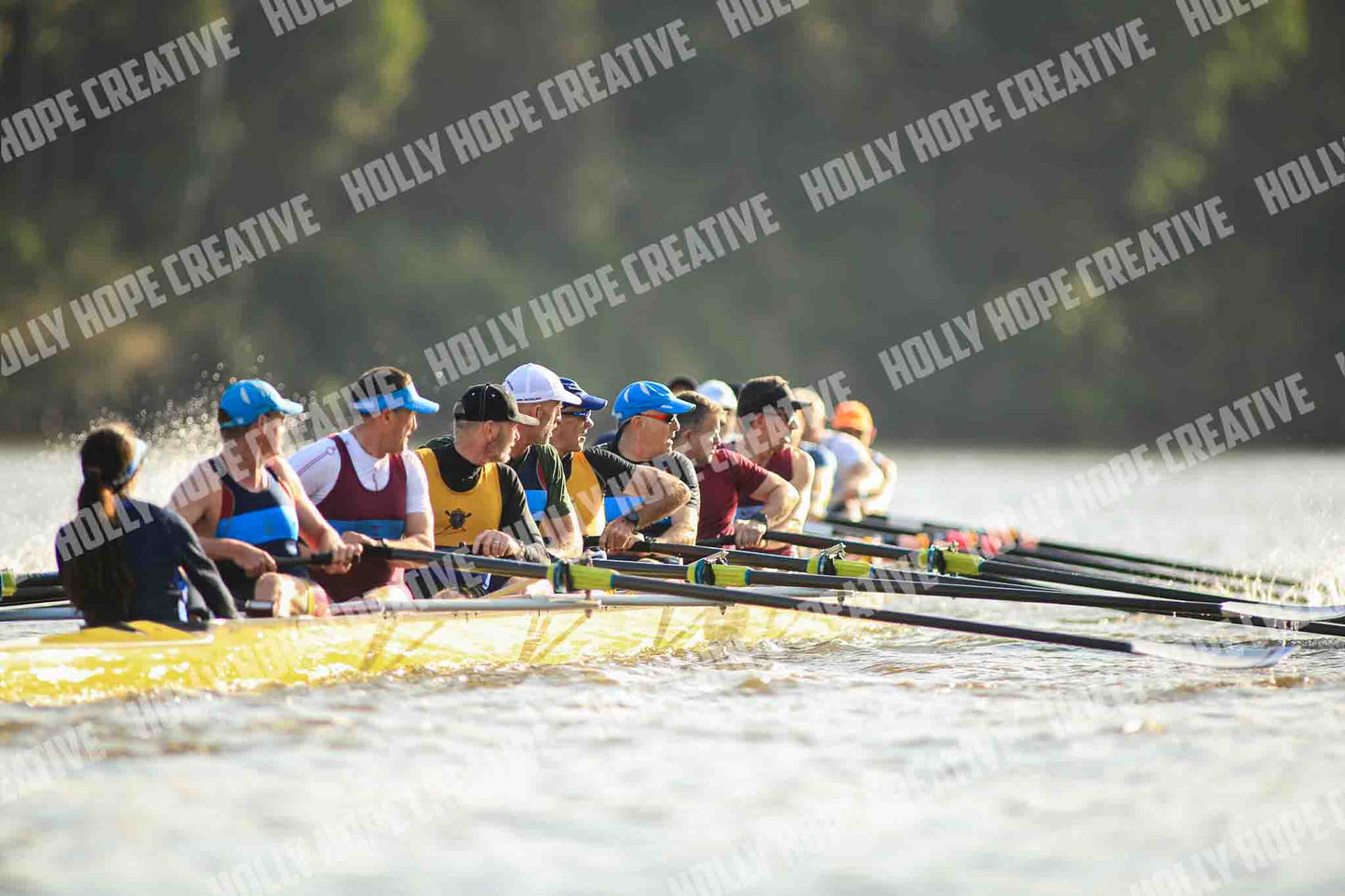 Brown Snake Image - 184