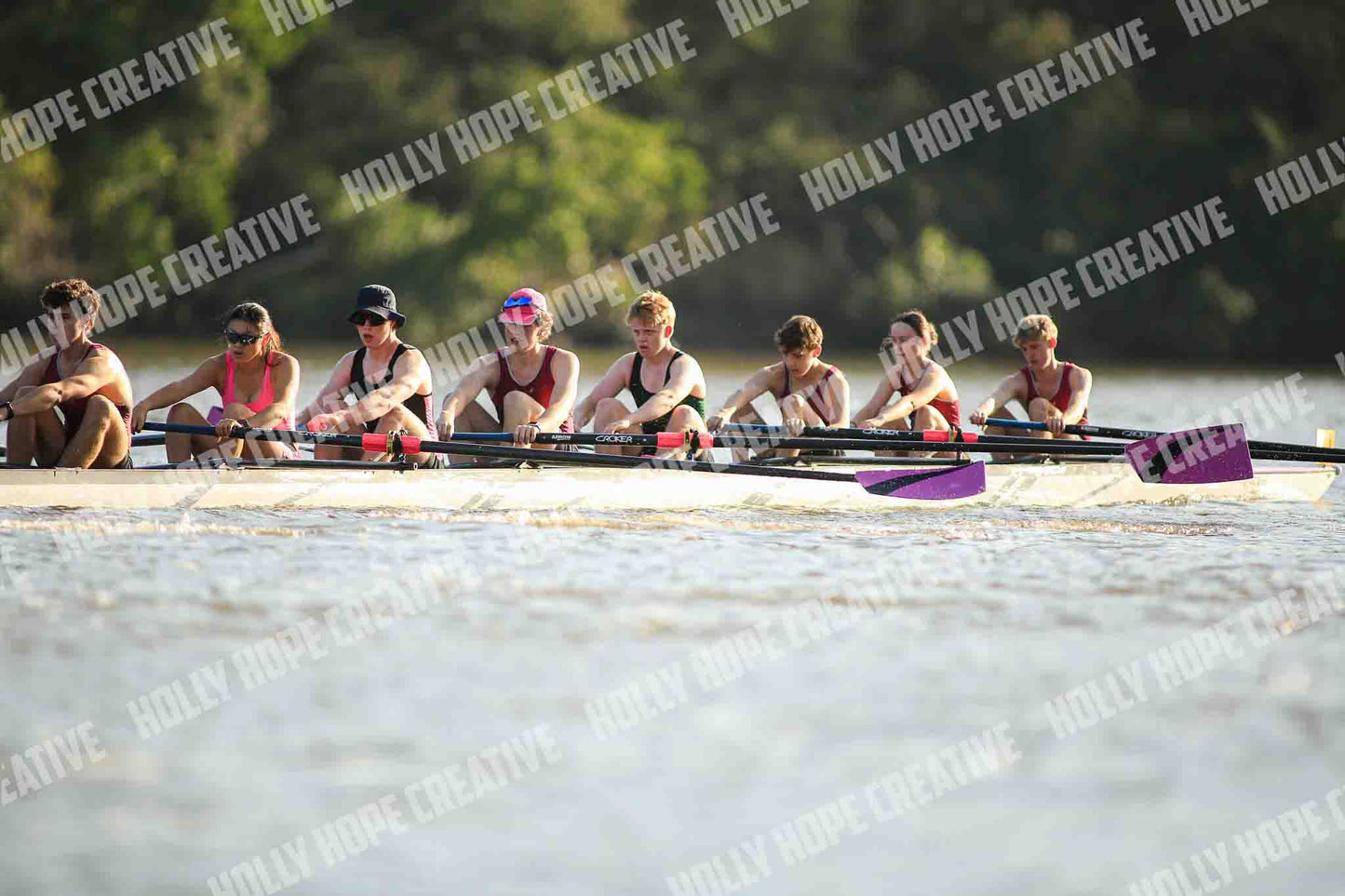 Brown Snake Image - 281