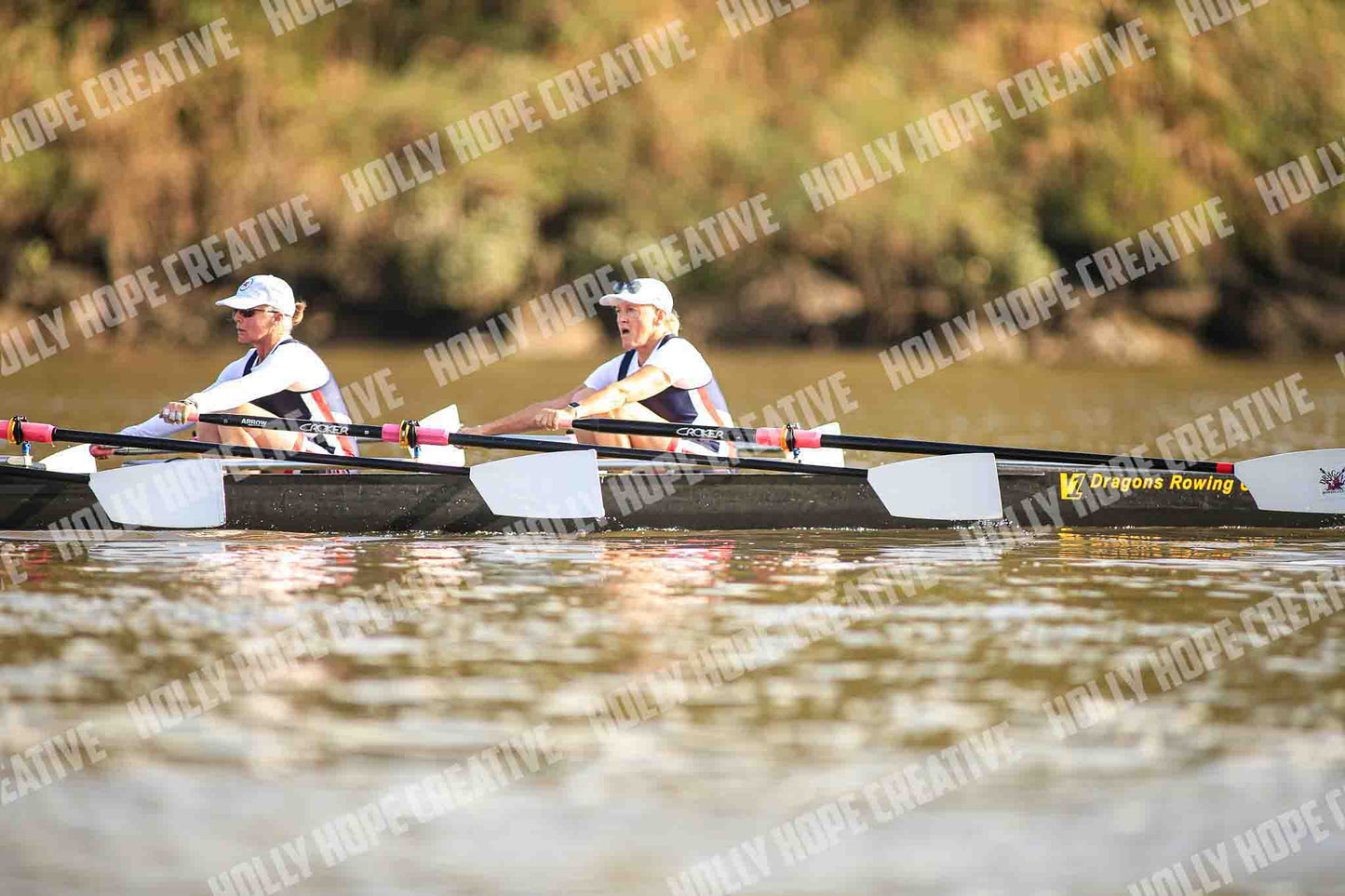Brown Snake Image - 68