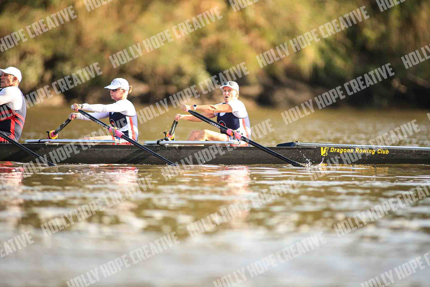 Brown Snake Image - 69