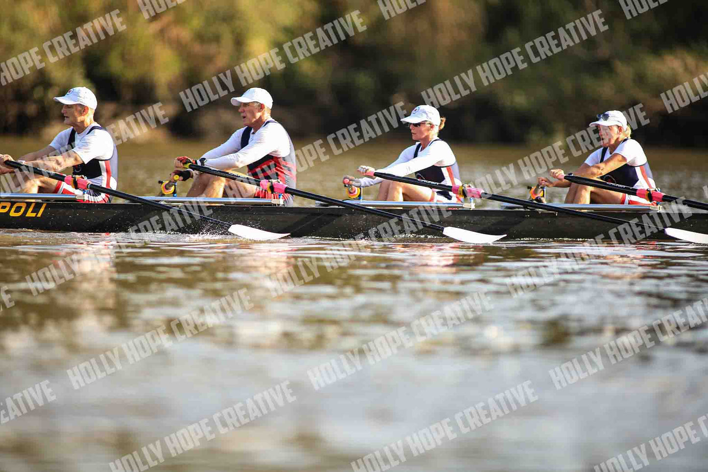 Brown Snake Image - 70