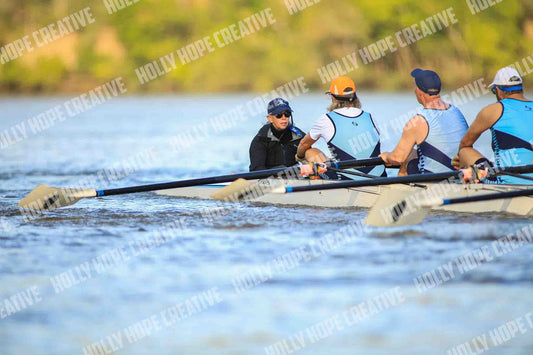 Brown Snake Image - 169