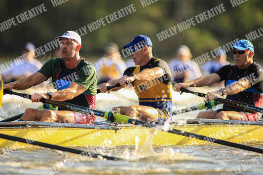 Brown Snake Image - 181