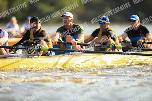 Brown Snake Image - 183