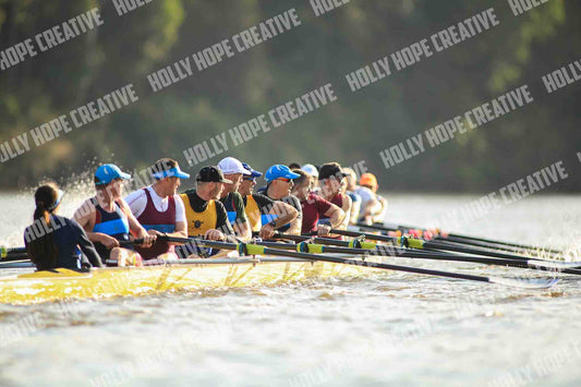 Brown Snake Image - 184