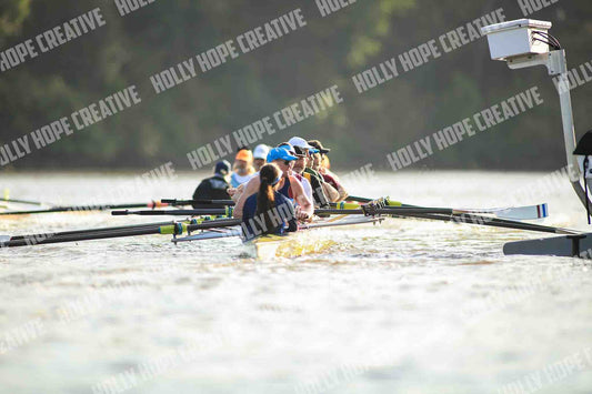 Brown Snake Image - 188