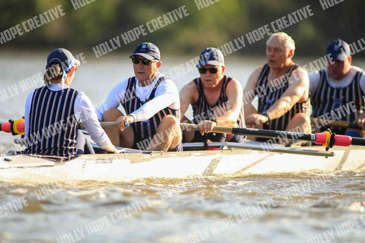 Brown Snake Image - 211