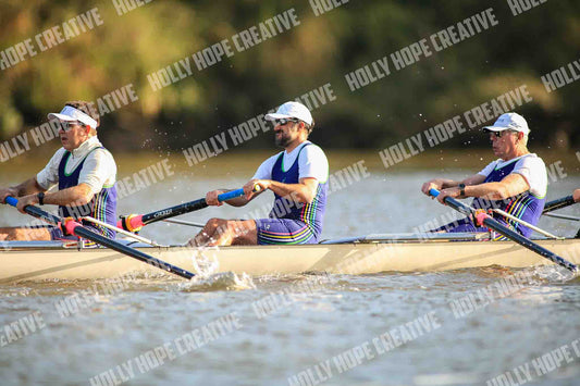 Brown Snake Image - 234