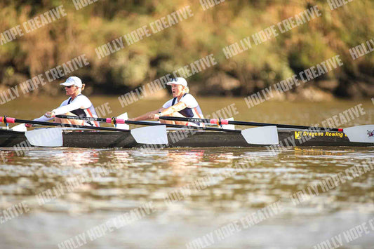 Brown Snake Image - 68
