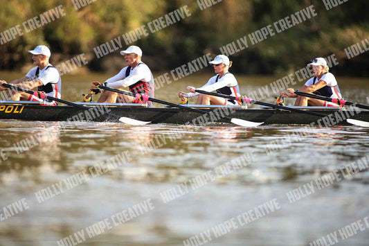 Brown Snake Image - 70