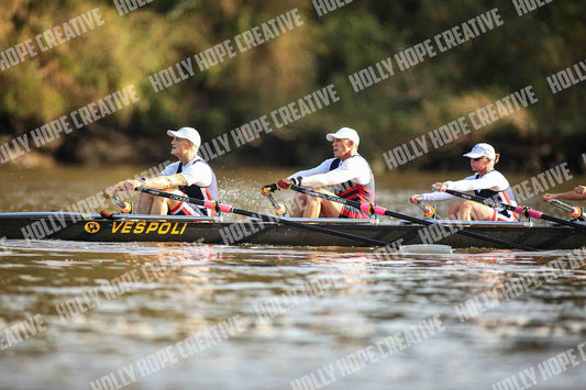 Brown Snake Image - 71