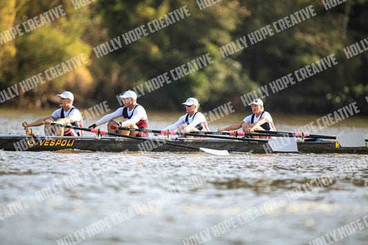 Brown Snake Image - 74