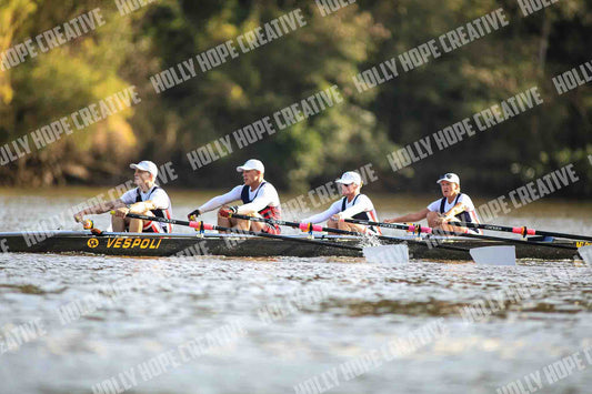 Brown Snake Image - 75