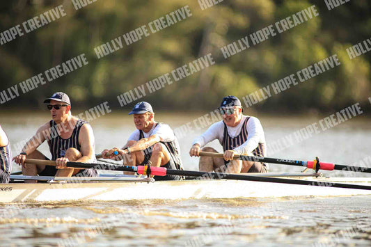 Brown Snake Image - 84