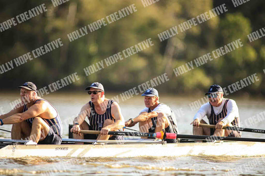 Brown Snake Image - 85