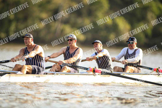 Brown Snake Image - 86