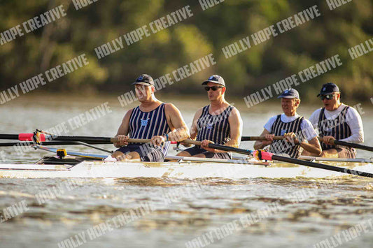Brown Snake Image - 87