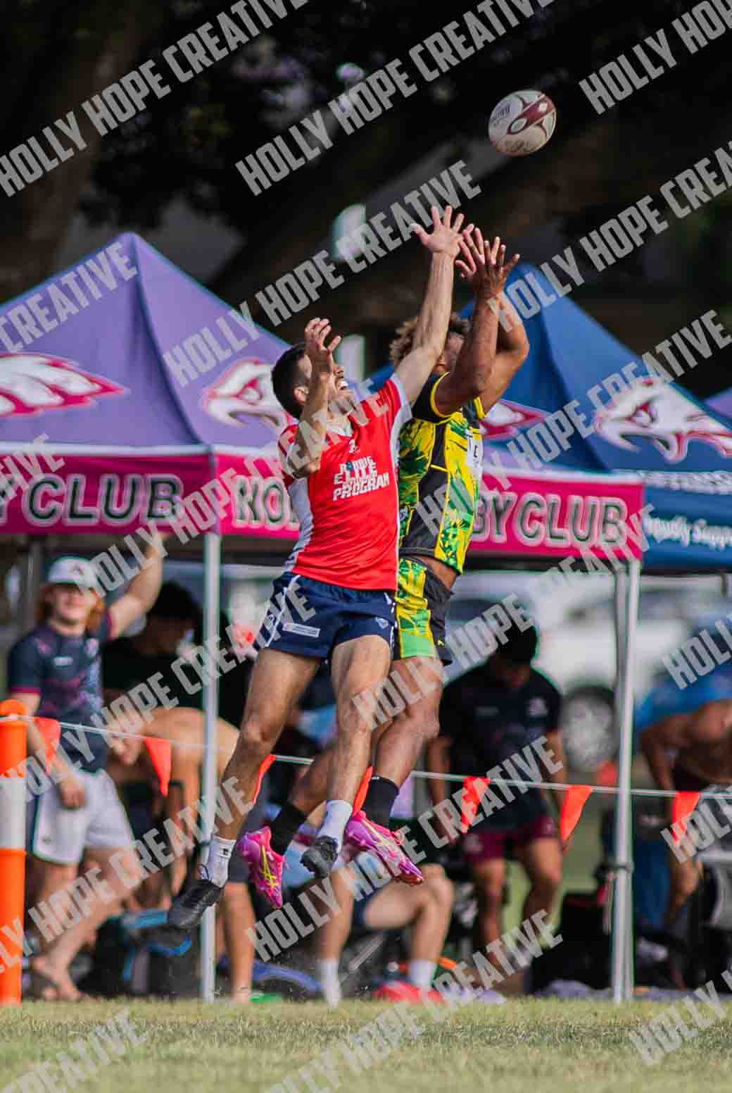 SEVENS-BrisVeg-Elite663