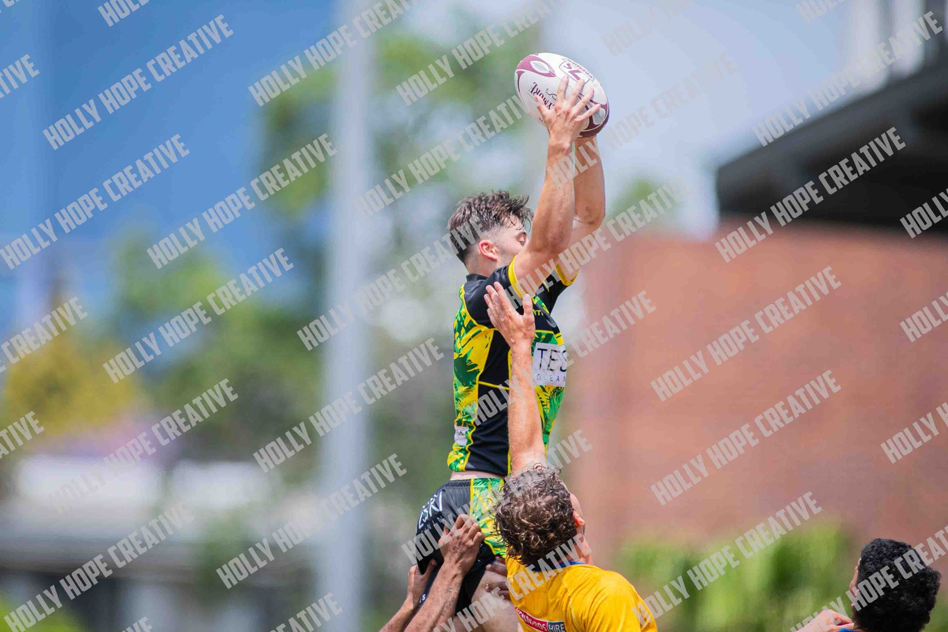SEVENS-BrisVeg-Elite785