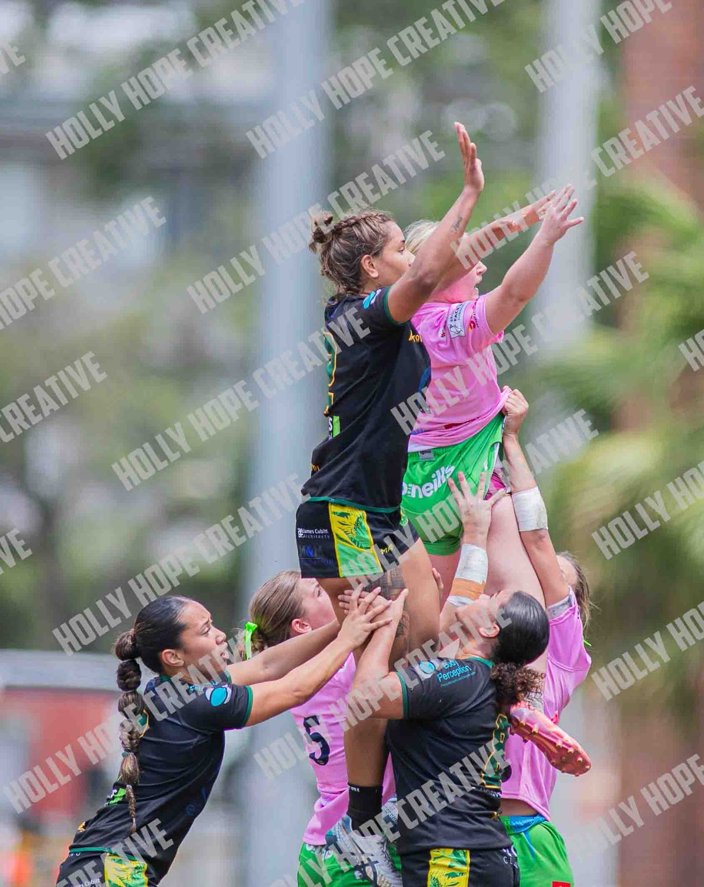 SEVENS-BrisVeg-Elite847